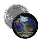 Pin: Rata del mundo