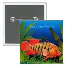 Pin rojo del Cichlid de Festae del terror