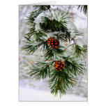 PineCone BranchHD Felicitacion