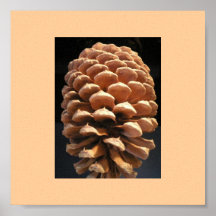 Pinecone Impresiones