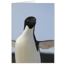 Pingüino de Adelie Tarjeta