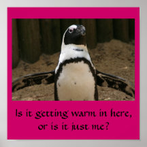 Pingüino menopáusico poster