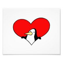 pingüino que mira a escondidas de corazón rojo fotos