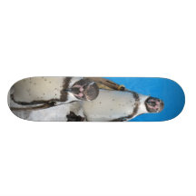 Pingüinos animales tabla de skate