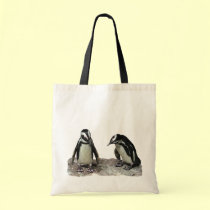 Pingüinos bolsas