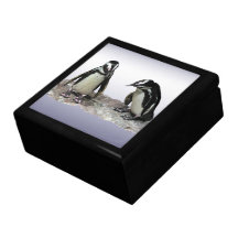 Pingüinos Caja De Recuerdo