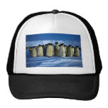 Pingüinos de emperador por claro de luna gorros  