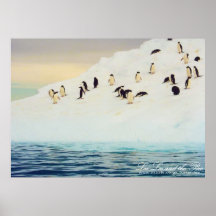 Pingüinos en el hielo, impresión impresiones