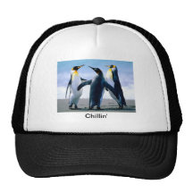 Pingüinos frescos gorros  