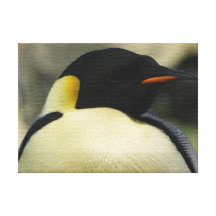 PINGÜINOS IMPRESIONES DE LIENZO