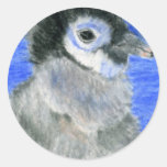Pingüinos Pegatina