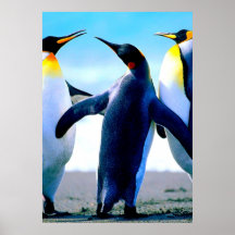Pingüinos Impresiones