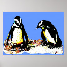 Pingüinos Posters