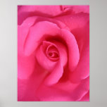 Pinkest subió poster