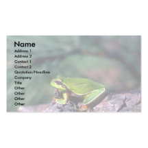 Pino Barrens Treefrog Tarjeta De Visita