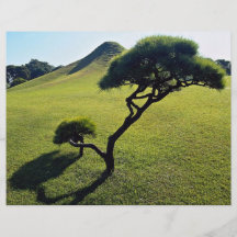 Pino e hillock artificial, parque de Suizenji, Kum Flyer Personalizado