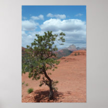 Pino solitario Redrocks del poster de Sedona