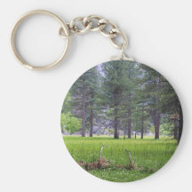 Pinos de las hierbas de los árboles de los prados llaveros