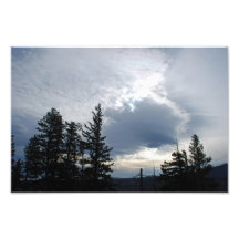 Pinos en el paso de Santiam, Oregon Fotografia