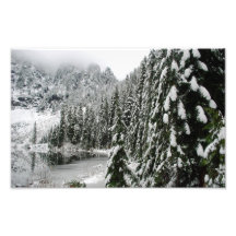 Pinos Nevado a lo largo del lago veintidós Arte Con Fotos