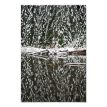 Pinos nevados que reflejan en el lago 22 foto