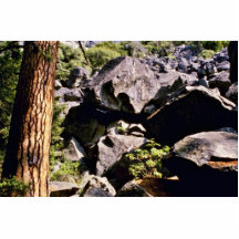 Pinos y ruina glacial, valle de Yosemite Escultura Fotográfica