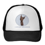 Pinscher del Doberman (cervatillo) Granddog Gorra