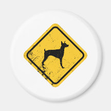Pinscher del Doberman Imán Para Frigorifico