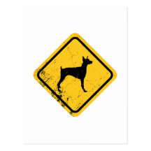 Pinscher del Doberman Postales