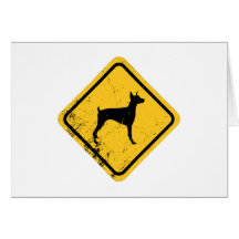 Pinscher del Doberman Tarjeta