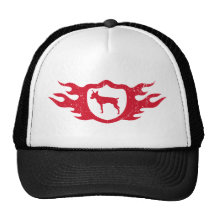 Pinscher miniatura gorra
