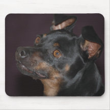 Pinscher miniatura Mousepad