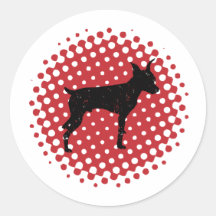 Pinscher miniatura pegatina