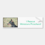Pinscher miniatura pegatina de parachoque