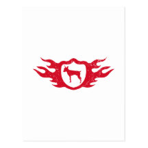 Pinscher miniatura tarjetas postales