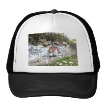Pintada en el parque zoológico viejo del LA Gorros