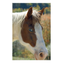 Pinte el caballo fotografia