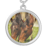 Pinte el collar del amor del caballo
