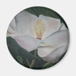 pintura al óleo de la flor de la magnolia iman de nevera