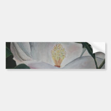 pintura al óleo de la flor de la magnolia pegatina de parachoque