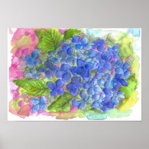 Pintura azul de la acuarela de la flor del Hydrang Posters