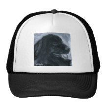 Pintura de acrílico de Newfie Gorros Bordados