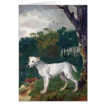 Pintura de bull terrier - bella arte del vintage felicitacion 