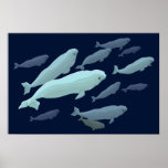 Pintura de la ballena de Marinelife de la impresió Posters