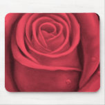 Pintura de la flor del rosa rojo - multi tapetes de ratones
