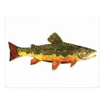 Pintura de los pescados de la trucha de arroyo tarjetas postales