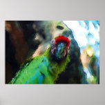 Pintura del loro poster
