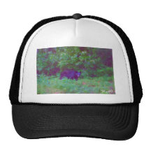 pintura del oso por el ciervo gorra