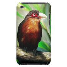 Pintura exótica colorida fresca del pájaro tropica iPod touch Case-Mate carcasa