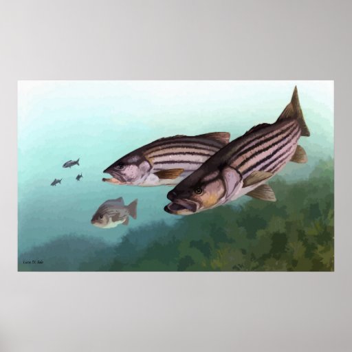Pintura firmada lubina rayada impresiones